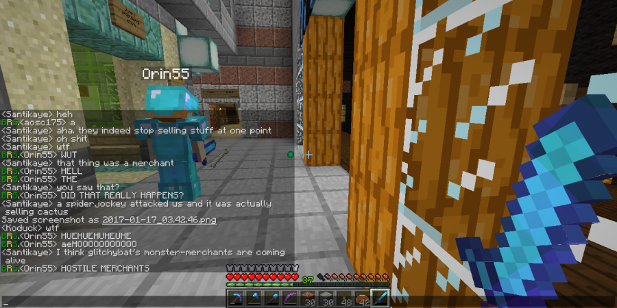 2017-01-17_03.43.02_-_shopkeepers_bug.png