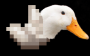 memes:quack.png
