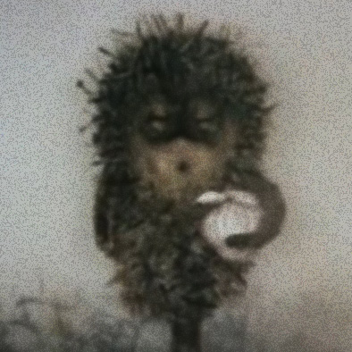 igel-santi.jpg