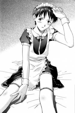 koinu_shinji.jpg koinu_shinji.jpg