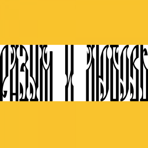 Princedom Bereg Flag