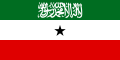 flag_of_somaliland.svg.png