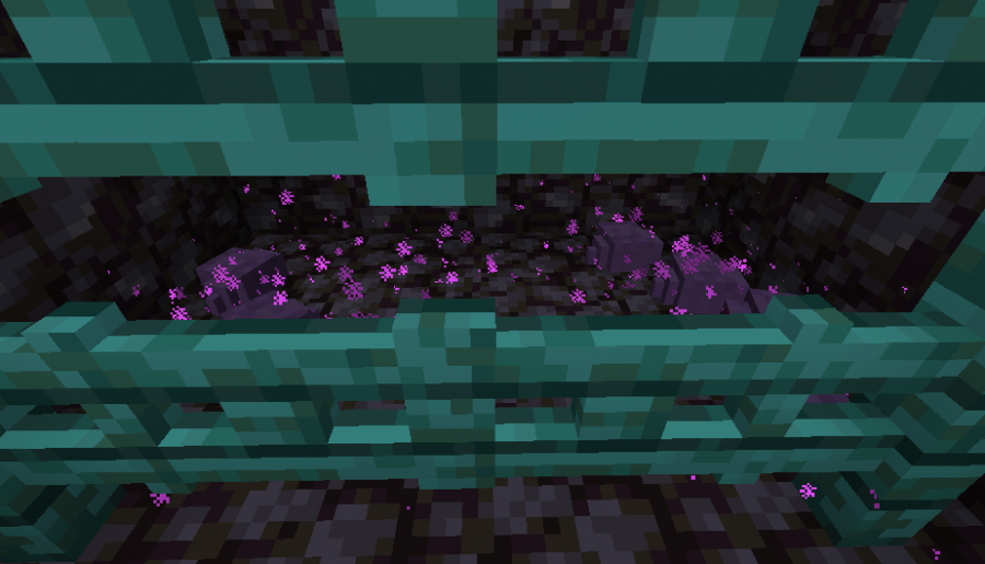 endermites_cage.png